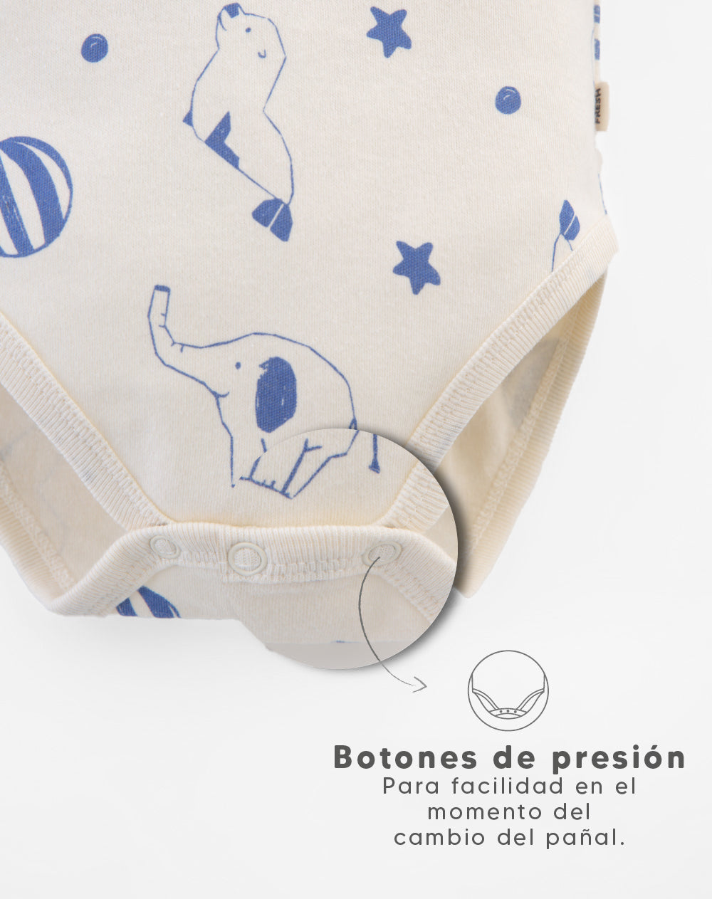 5 bodys cuello redondo manga corta surtido