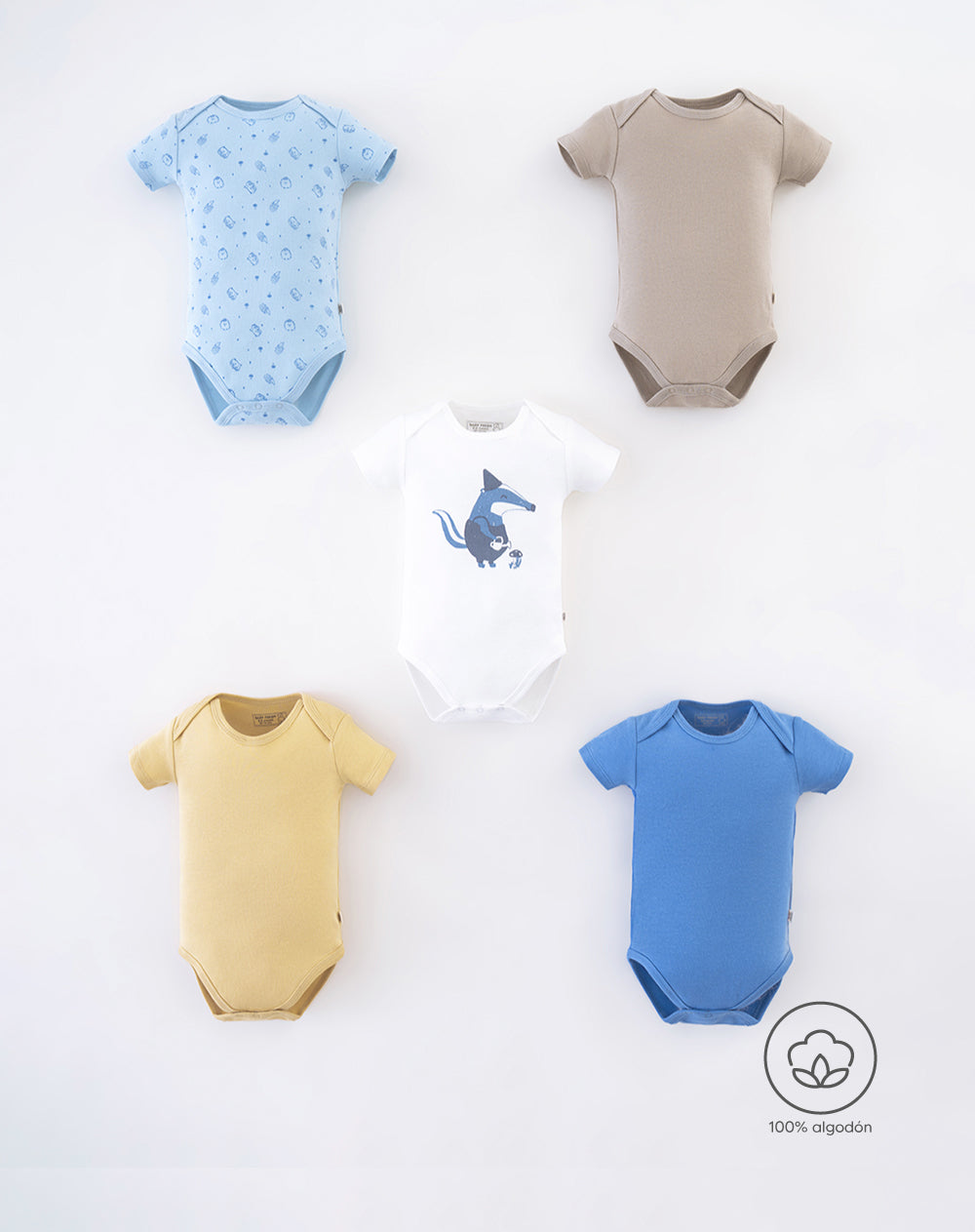 5 bodys cuello redondo manga corta surtido
