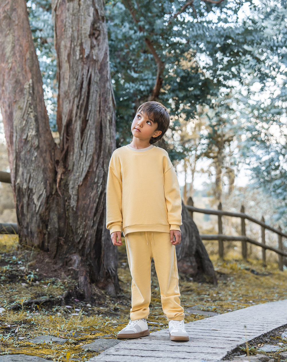 Conjunto niño buzo + pantalón algodón amarillo