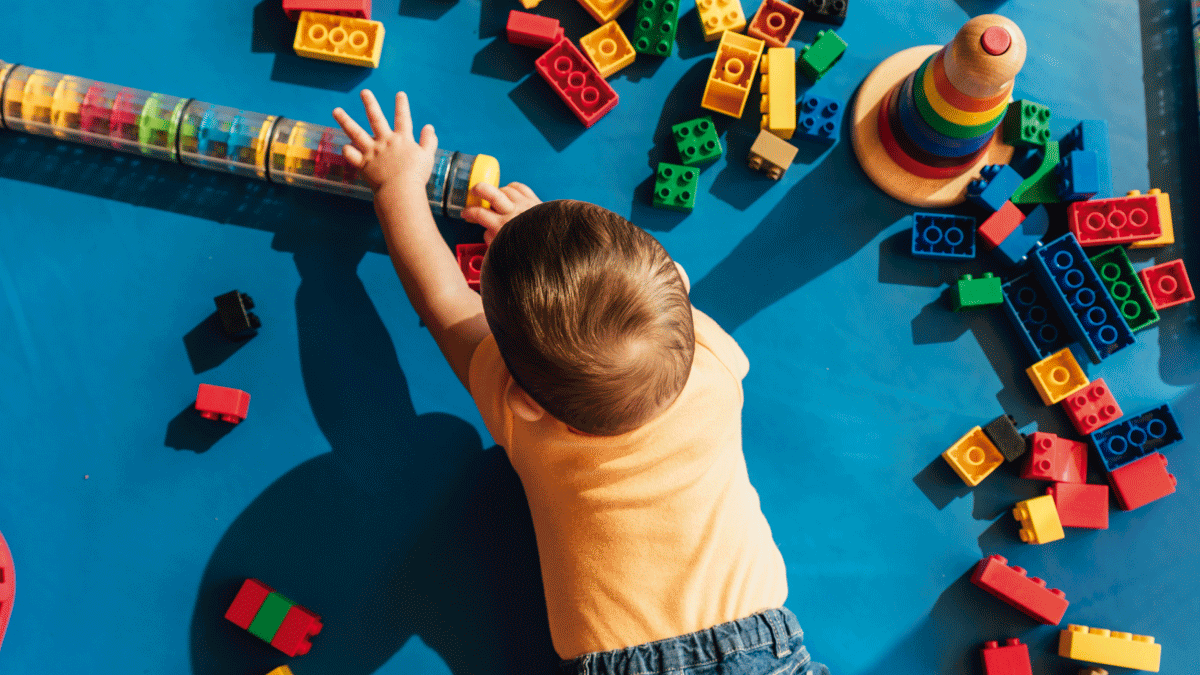 Actividades y planes educativos para hacer con niños