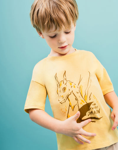 Camiseta regular algodón x2unds surtida niño