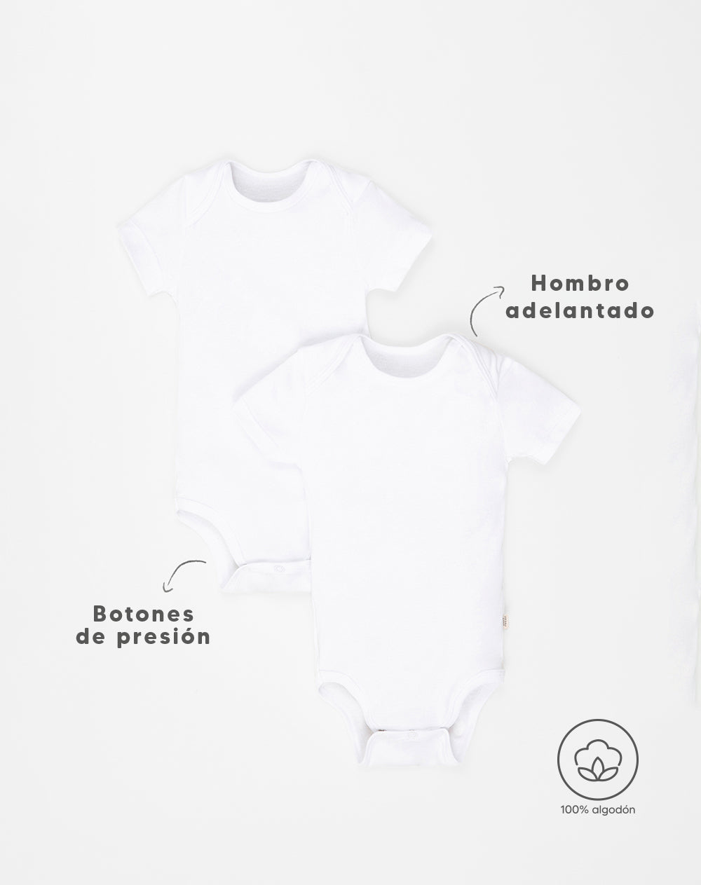 2 bodys cuello redondo manga corta blanco