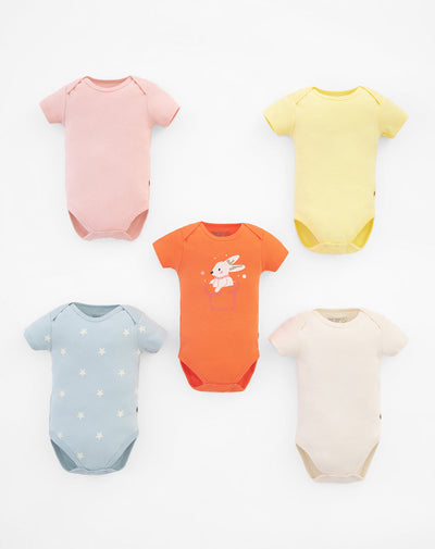 5 bodys cuello redondo manga corta surtido