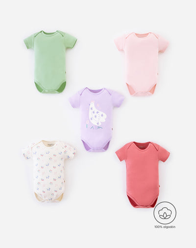 5 bodys cuello redondo manga corta surtido
