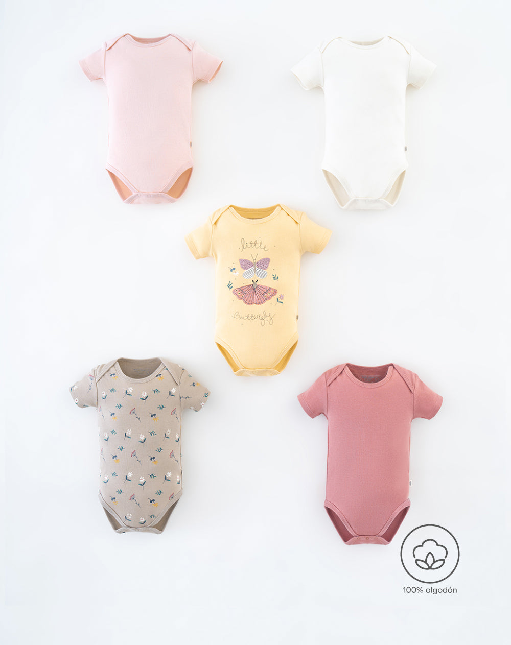 5 bodys cuello redondo manga corta surtido