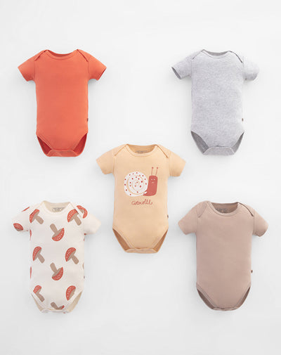 5 bodys cuello redondo manga corta surtido