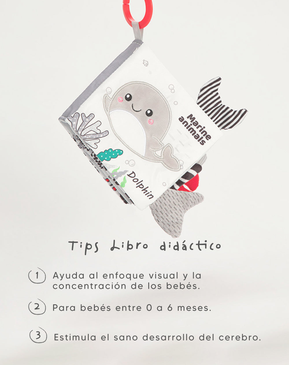 Libro didáctico